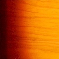 Brown Sunburst (BS)